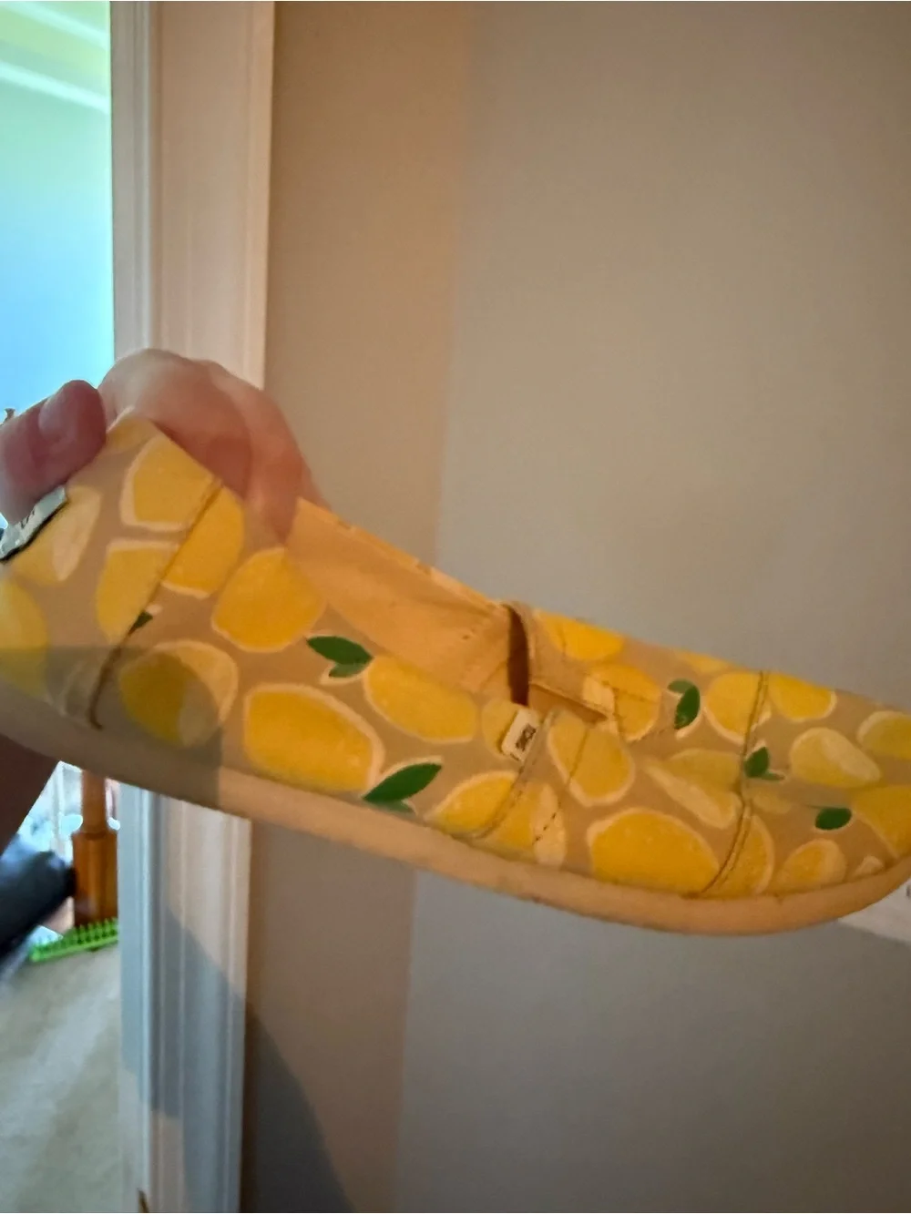 Toms slip flats